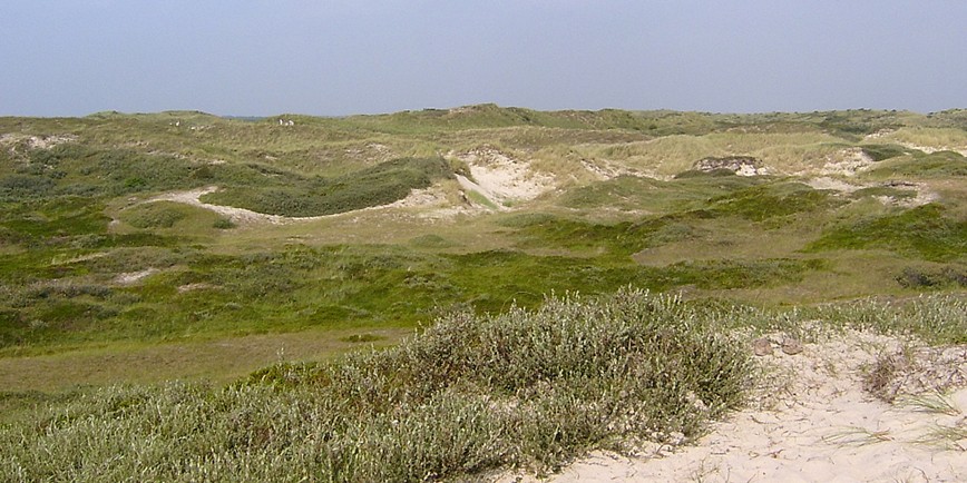 Sommerferien in den Niederlanden? Das sind die schönsten Strände unserer Nachbarn